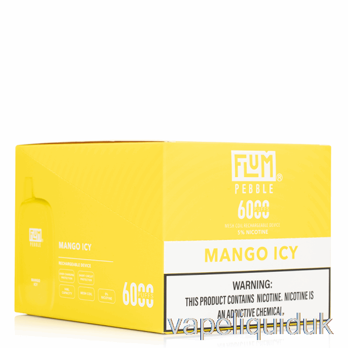 [10-Pack] Flum Pebble 6000 Disposable Vape Liquid